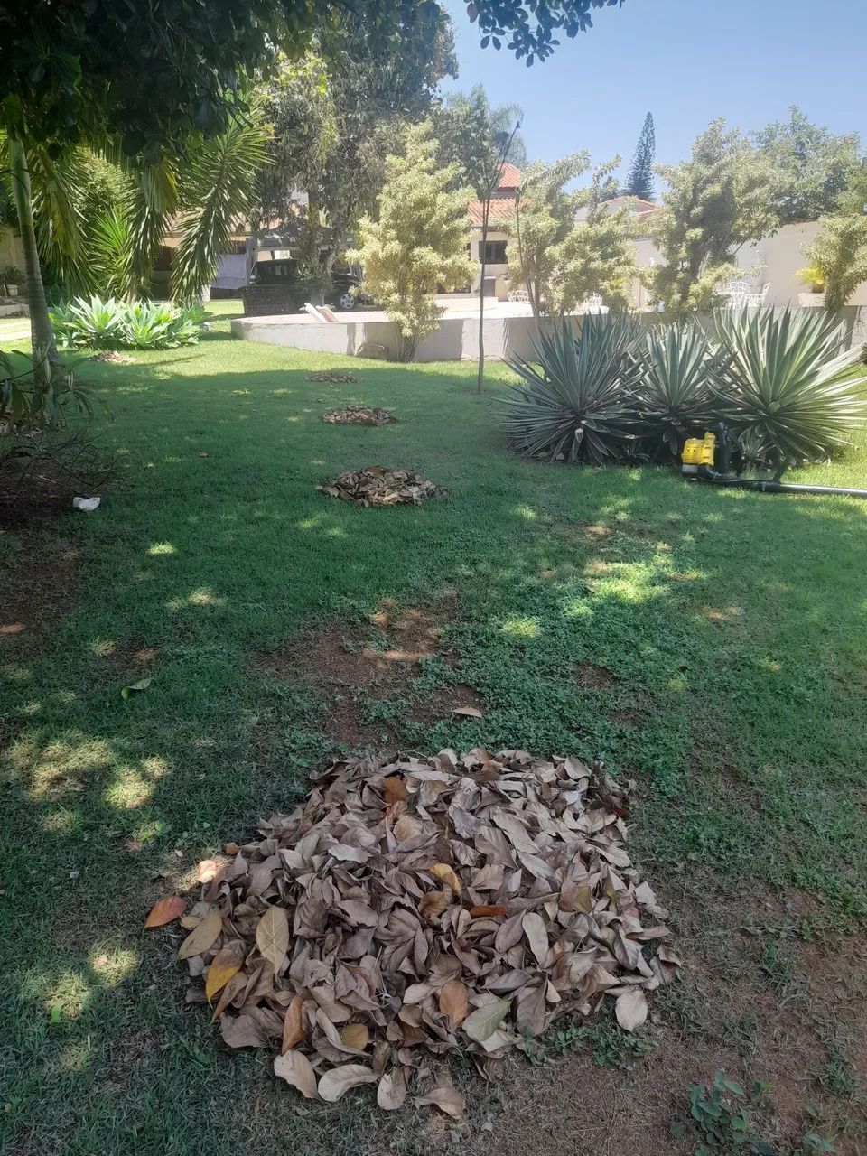 Jardinagem/Poda/Limpeza de Terreno - Foto 3