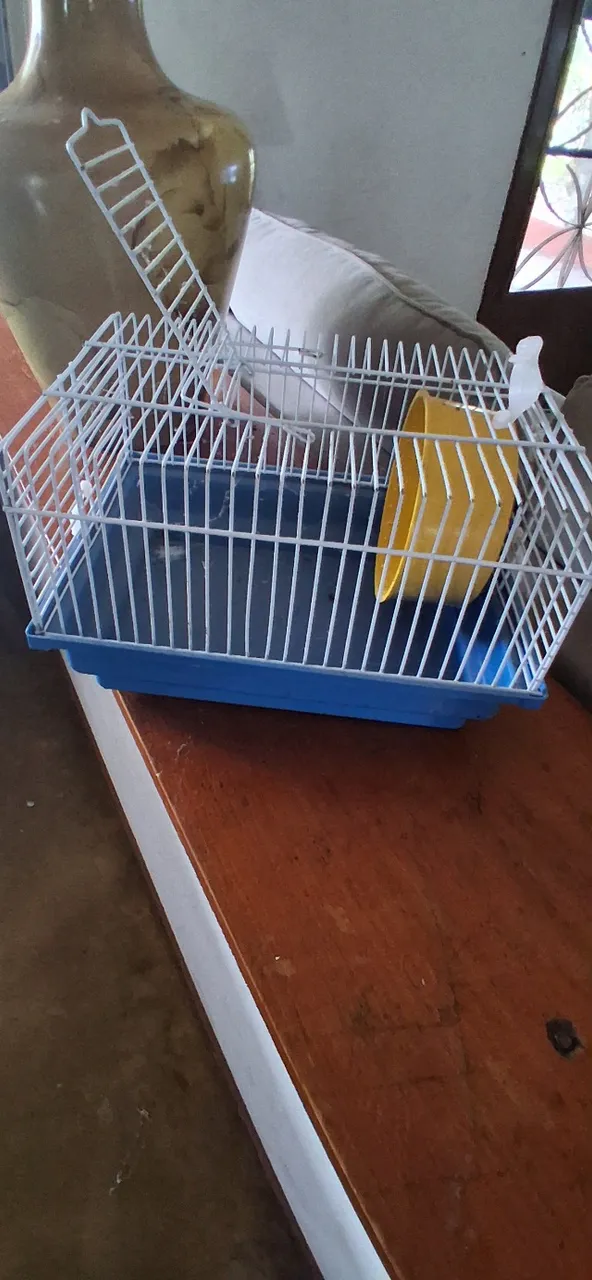 Vendo Gaiola de Ramster