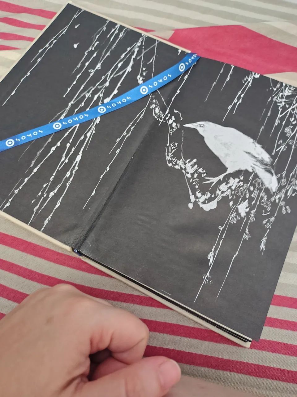 Livro Luto Sem Medo - Foto 5