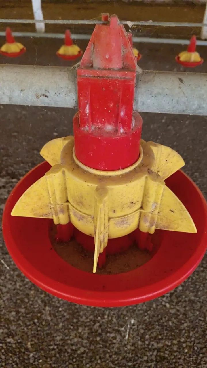 Bebedouro para aves plasson e automático plasson  - Foto 3