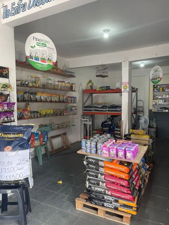 Ração para gatos castrados - Diversas marcas e tamanhos