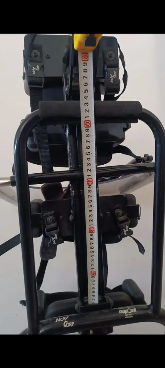 Parapodium  - Foto 6