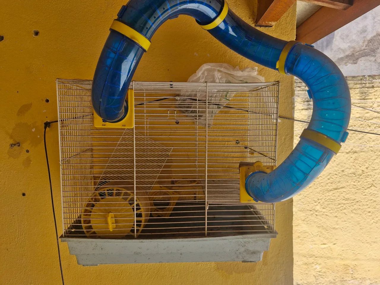 Túnel para Roedores - Brinquedo Divertido para seu Pet - Foto 2