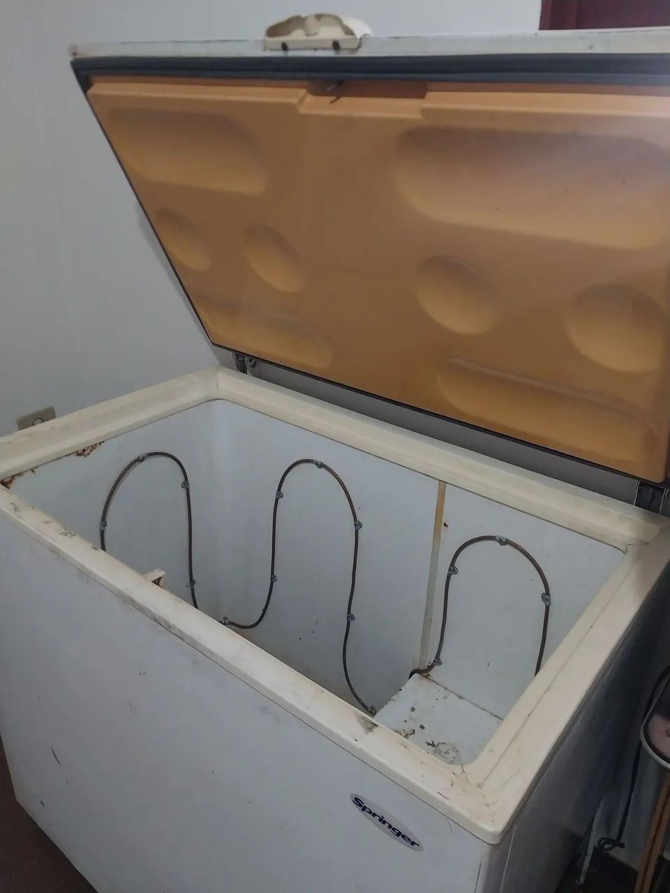 Vendo freezer 220w - Foto 2
