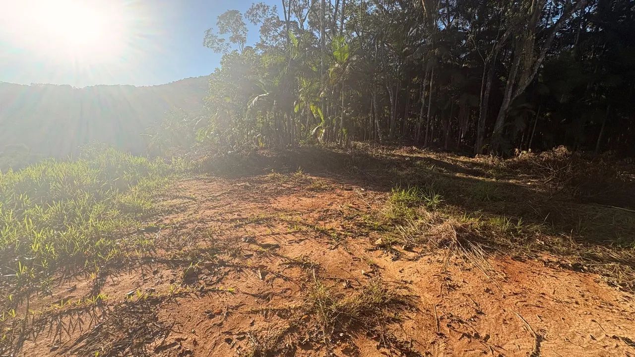 Vendo terreno em são Pedro de Alcântara  - Foto 4