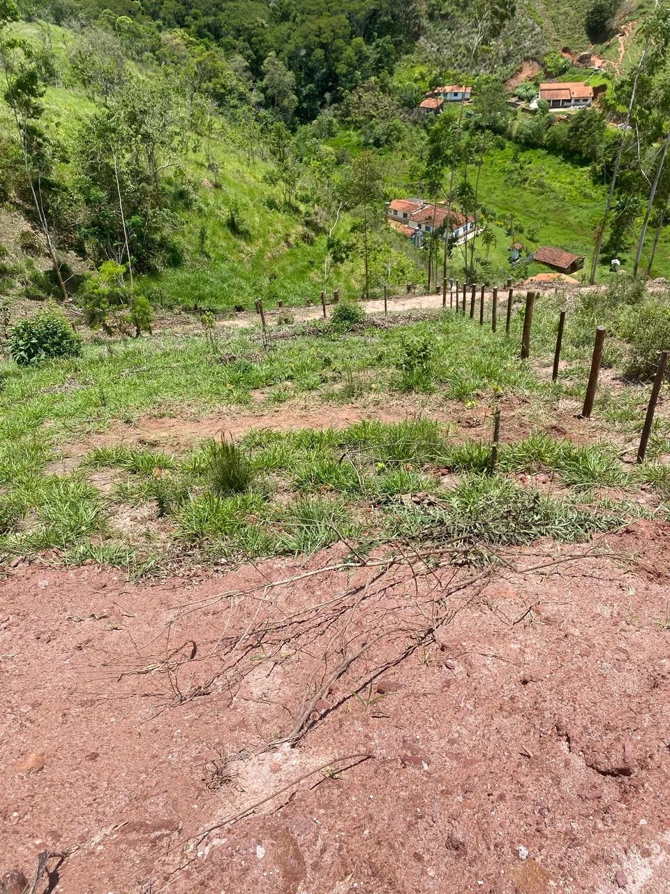 Foto - São José dos Campos - Bosque dos Eucaliptos