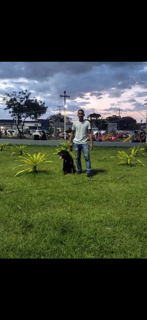 Adestramento de cães  - Foto 2
