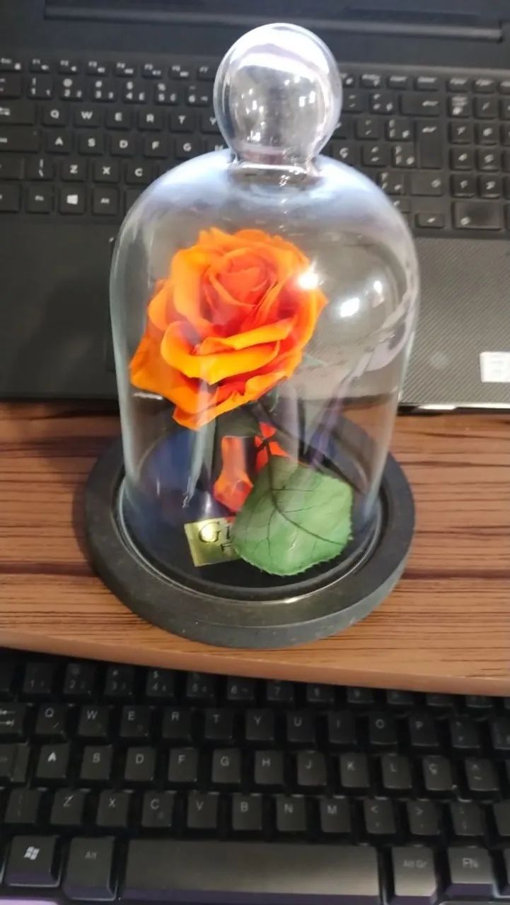 Lindo presente  - Foto 4