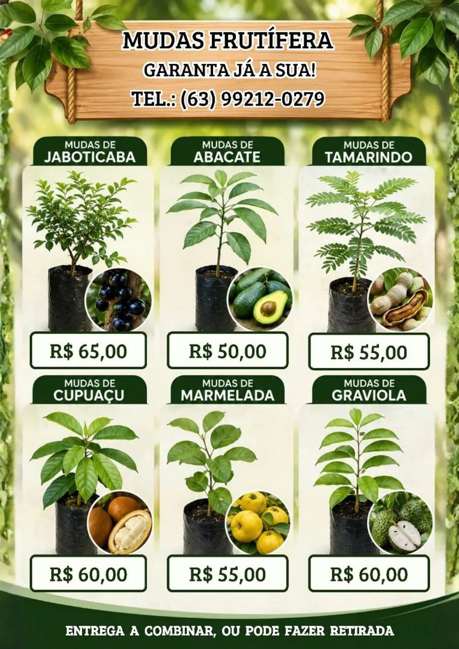 Plantas 