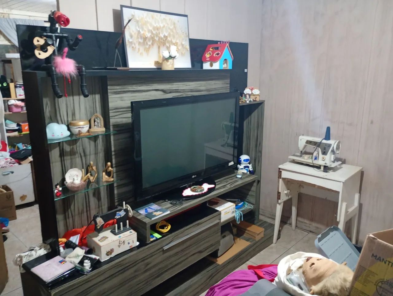 Televisão