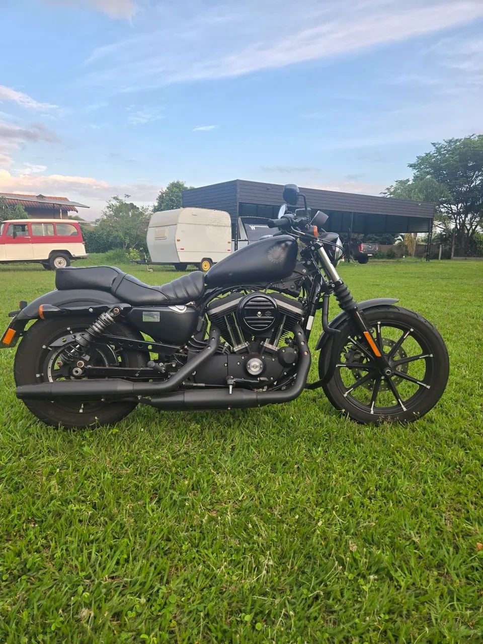Iron 883 2010