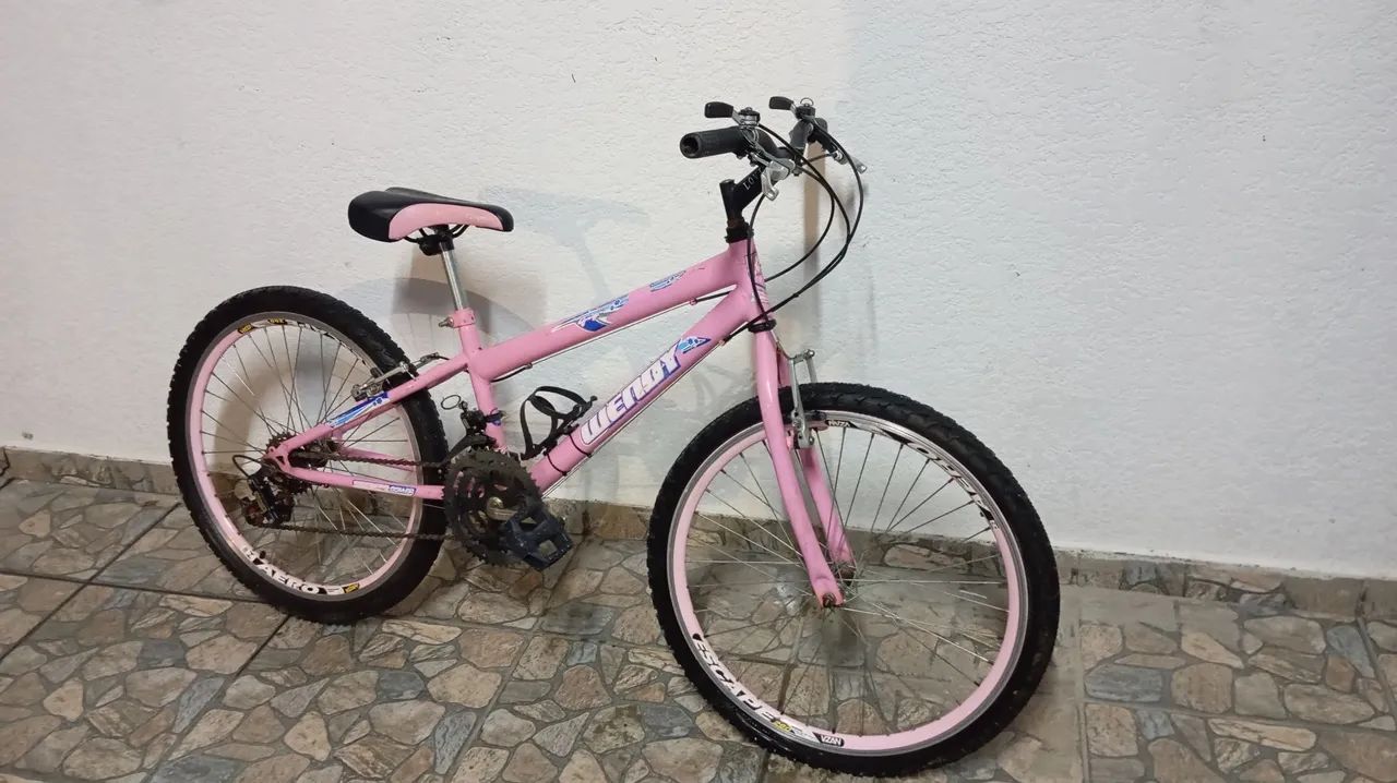Bicicleta aro 24
