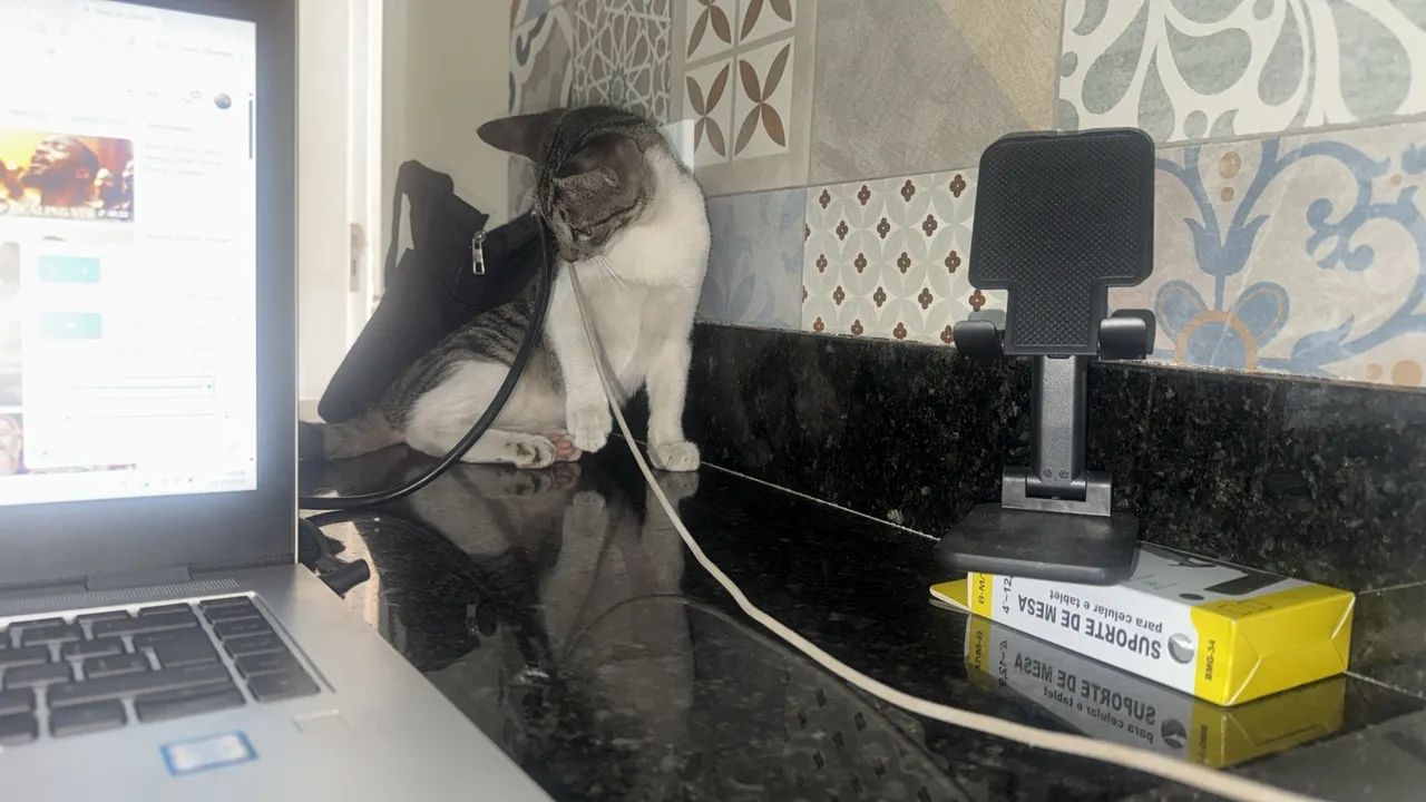 Doação  - Foto 3