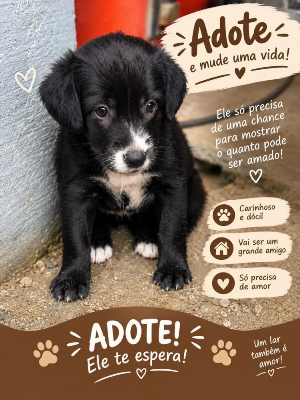 Doação  - Foto 3