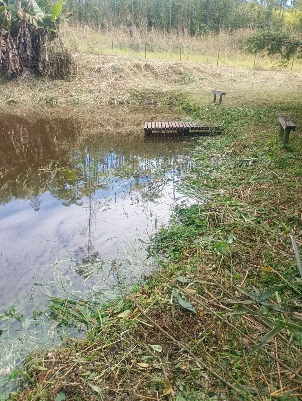 Área com 5000m2 e lago com Aprox. 800m2 sem casa  - Foto 3