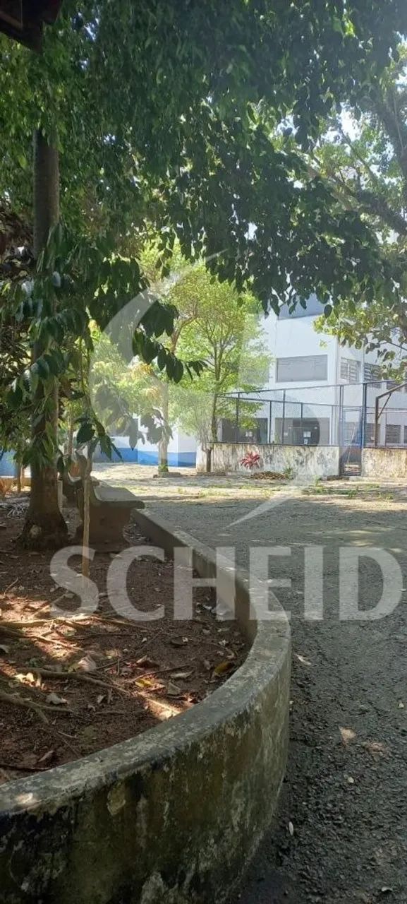 EXCELENTE IMOVEL PARA COLEGIO E FACULDADE - Foto 4