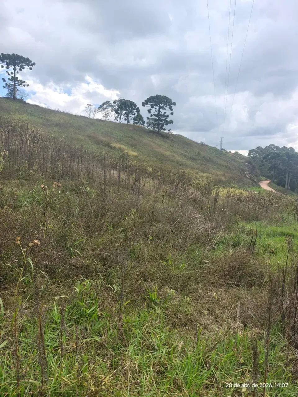 Terreno com 20 hectares em Maria da Fé MG