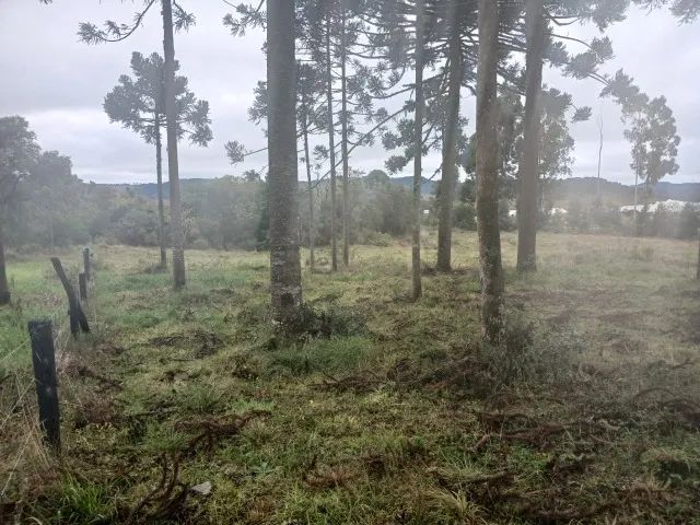 ? OPORTUNIDADE NA SERRA CATARINENSE ? - Foto 5