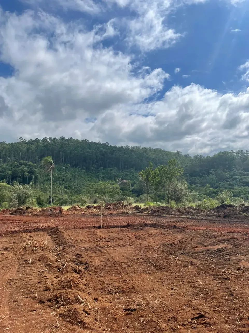 He Lotes planos, fácil Negociação! 600m² - Foto 2