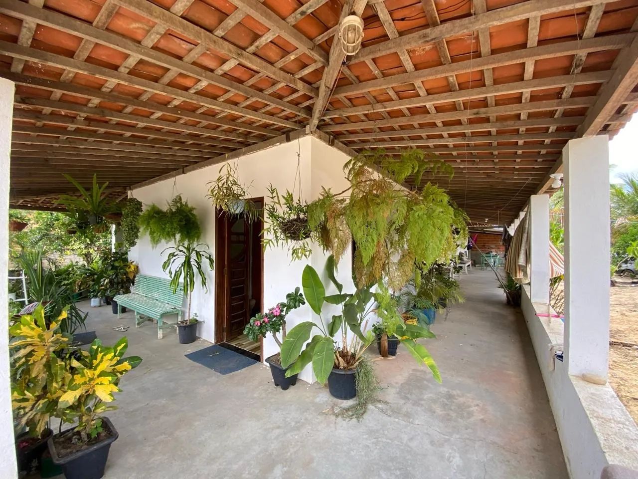 ?VENDO SITIO  - Foto 4