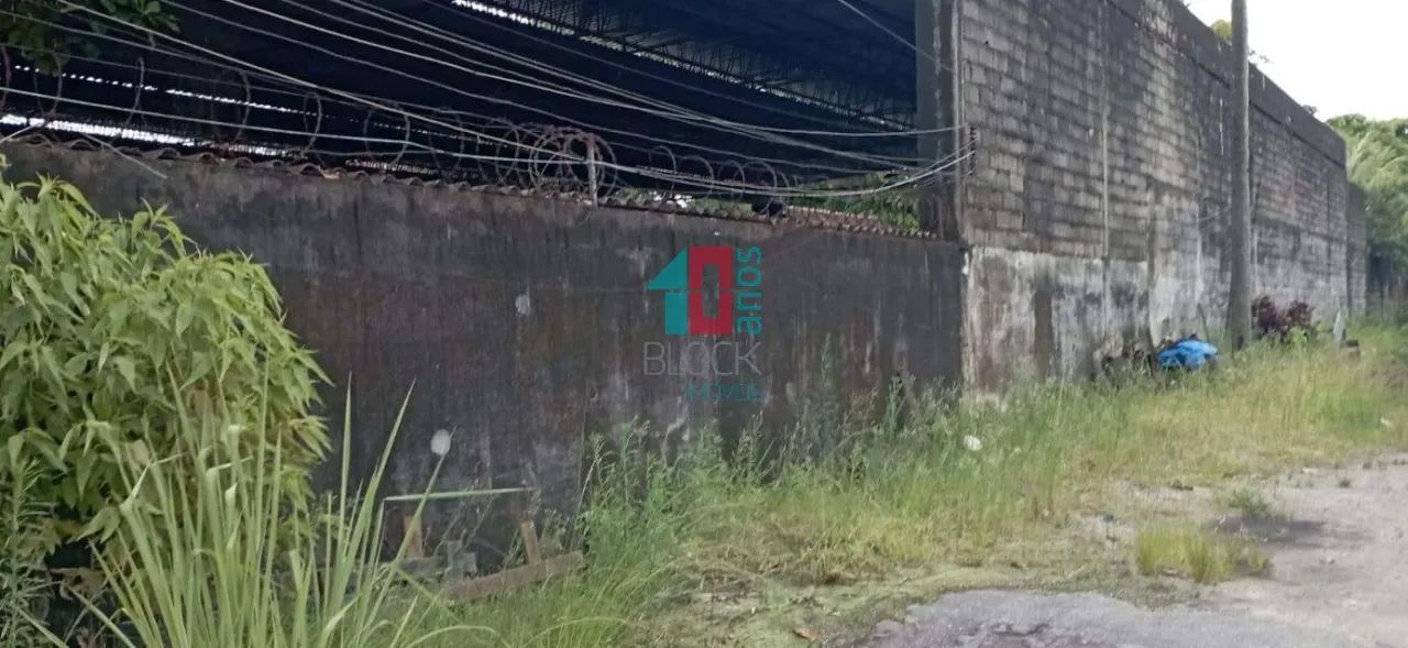 Campo Grande | Terreno - Foto 4