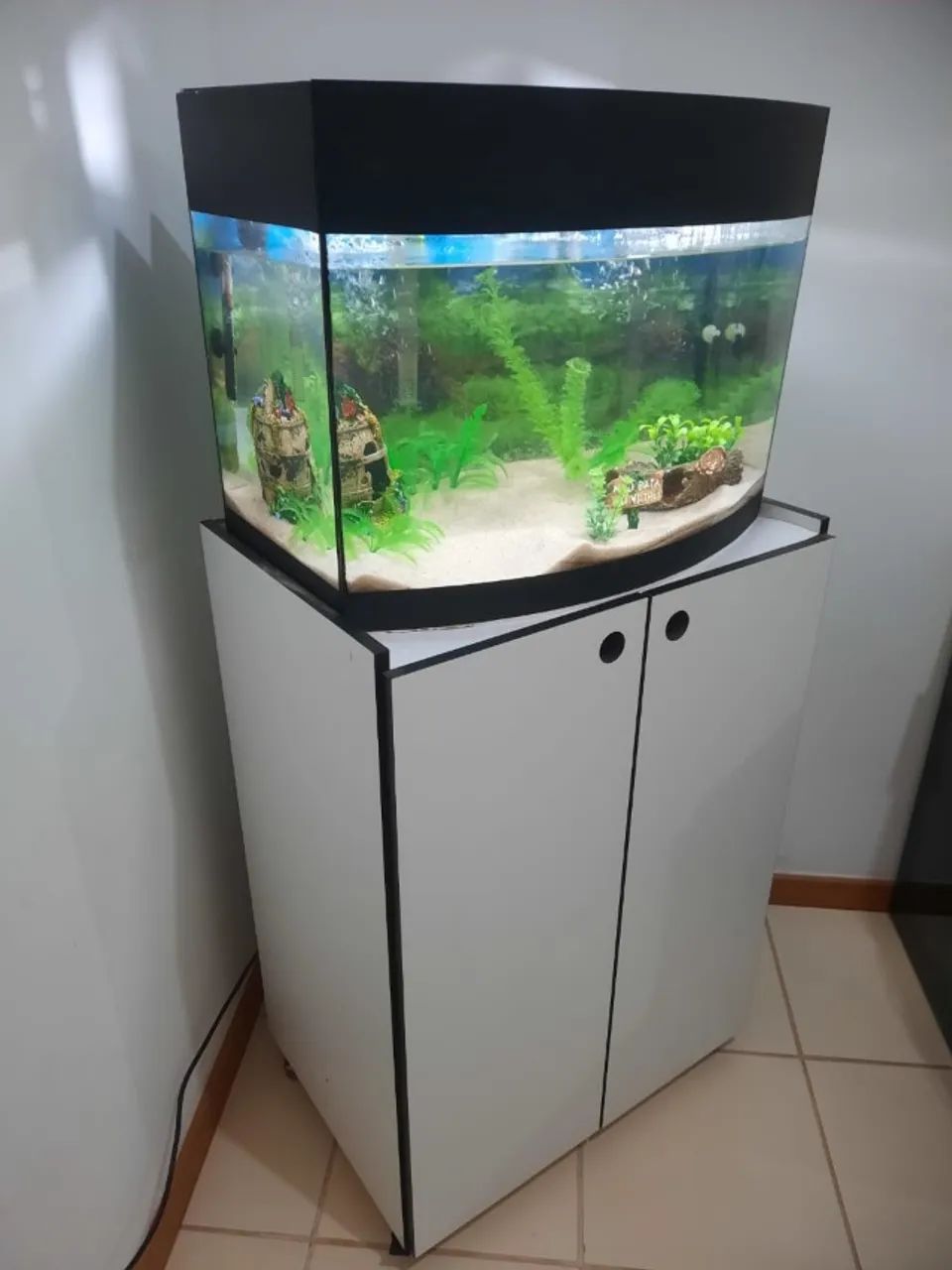 Aquário Curvo lindo 80 litros mais equipamentos, pronto para uso.