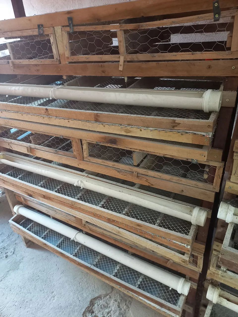 Bateria para codornas  - Foto 2