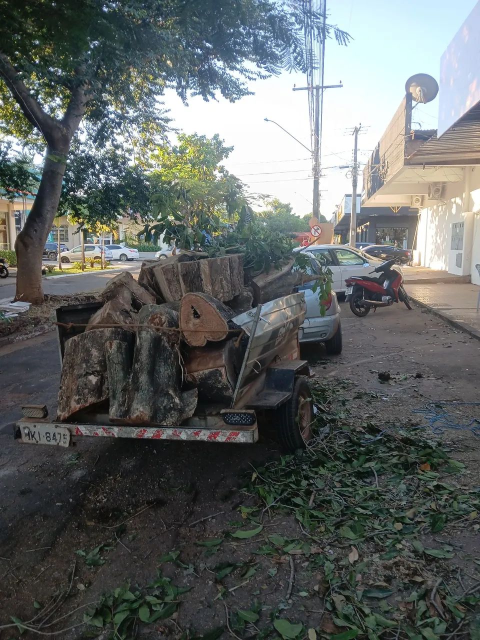 Podar de árvores e limpeza em geral Palmas é região   - Foto 3