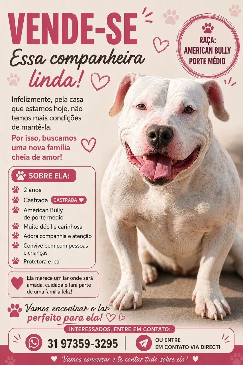 Cachorro 