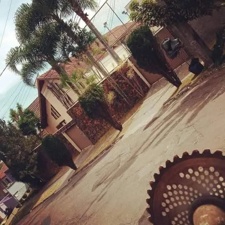 Jardineiro pinhais e região * - Foto 5