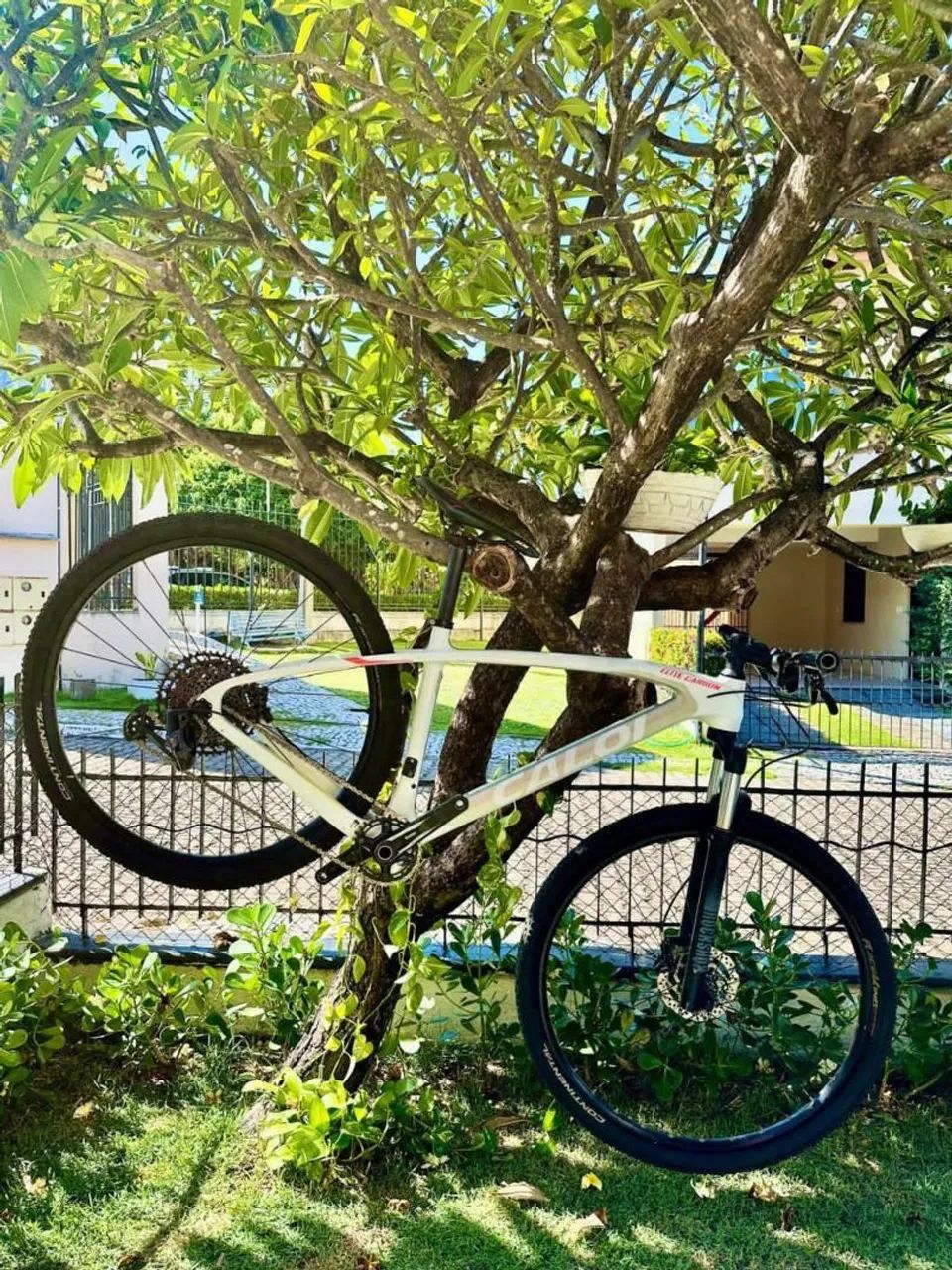 Vendo quadro caloi elite carbon 
