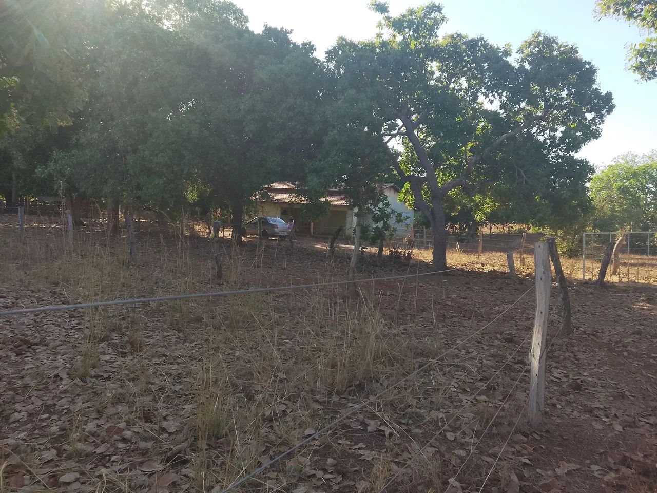 Vendo Sítio 24,2 Hectares   - Foto 4