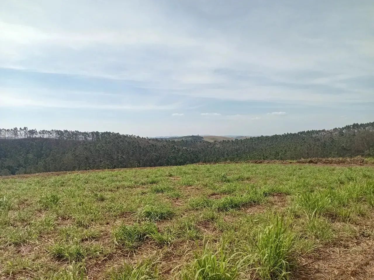 Lote/Terreno para venda tem 1000 metros quadrados em Roseira - Jundiaí - São Paulo - Foto 8