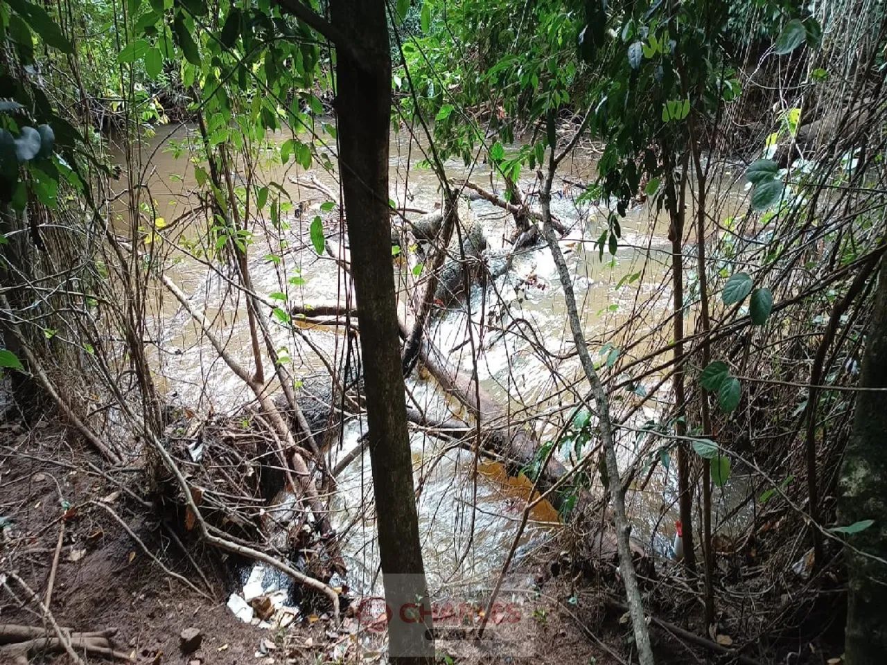 Área Acima De 500m2 Para Venda CENTRO CONCHAL - Foto 4