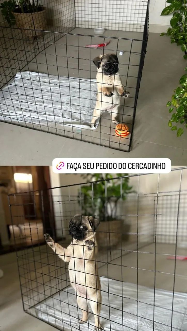 CERCADINHO PARA PET 1,00 X 1,00 - Foto 3