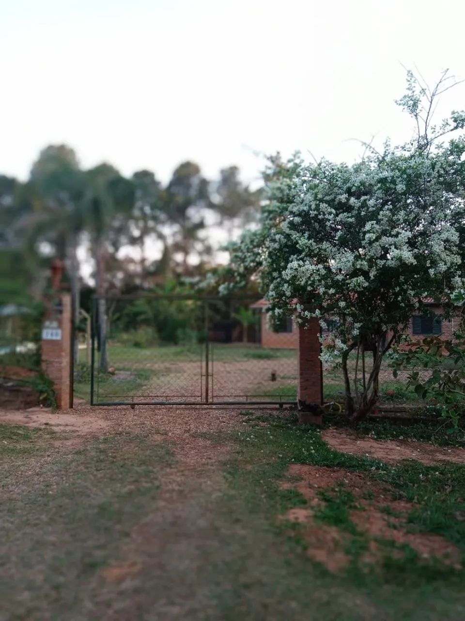 Casa na Demetria
