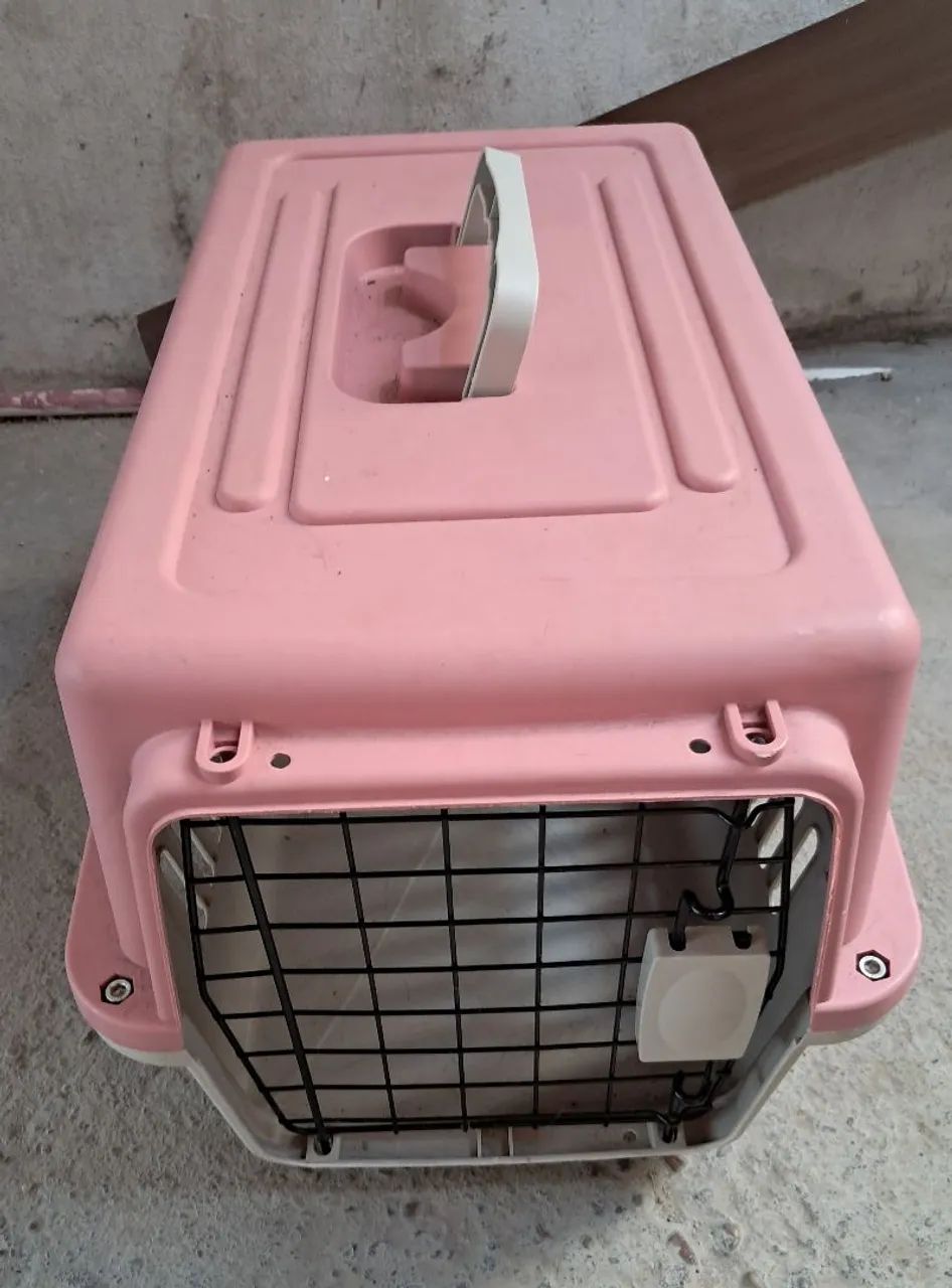 Caixa para transporte de gato