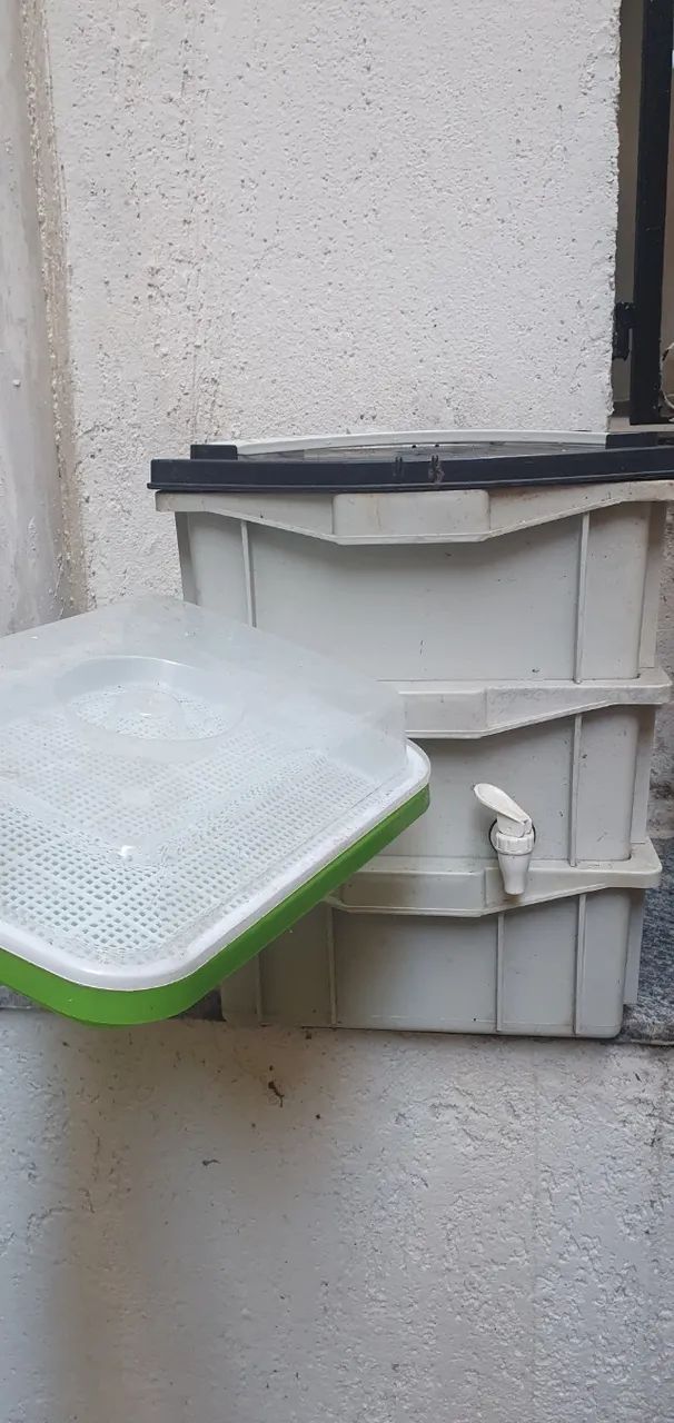 Composteira Doméstica
