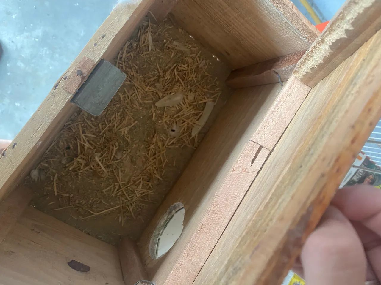 Viveiro grande para aves (calopsita, periquito e etc) - Foto 3