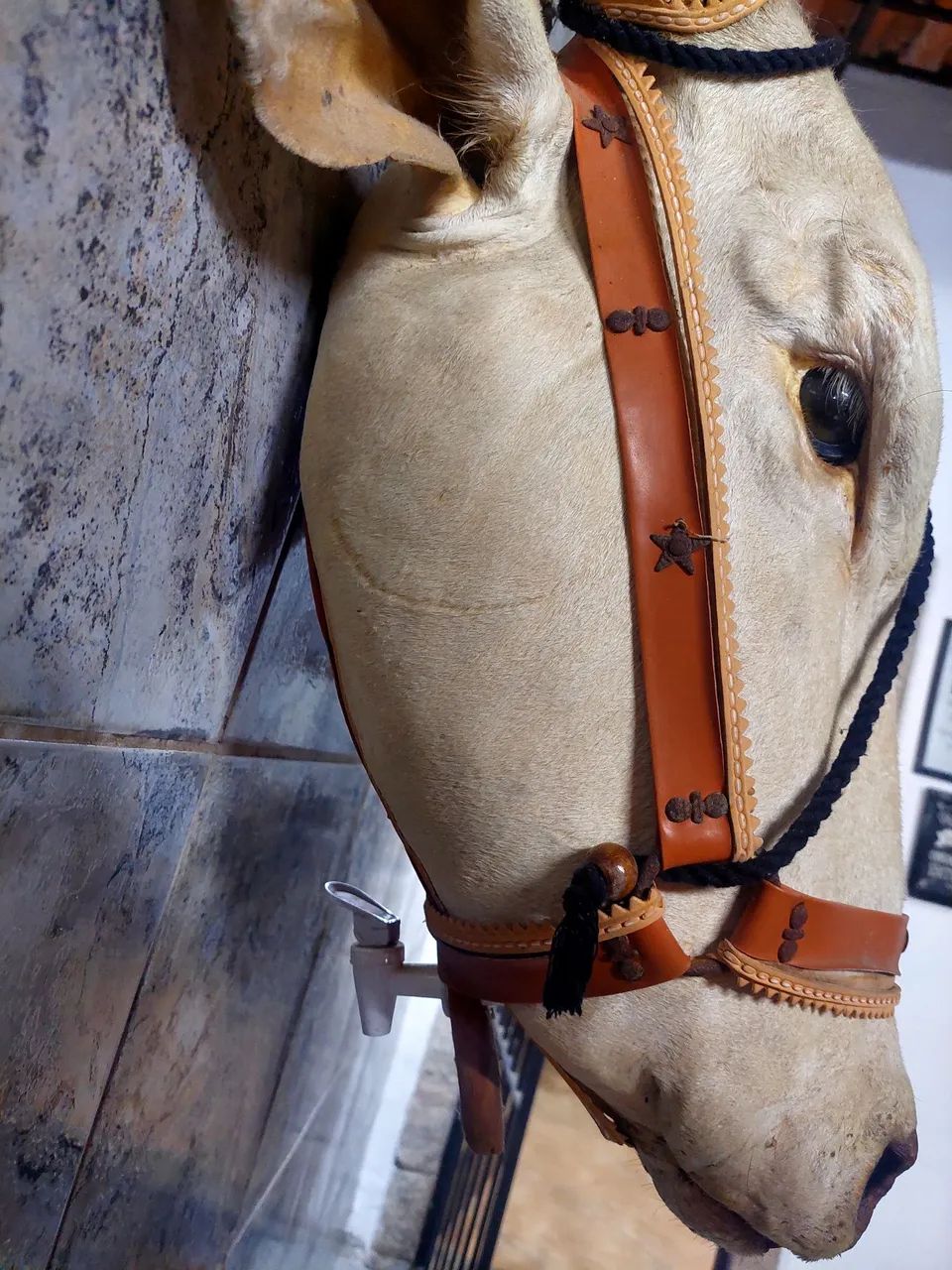 Garrafa Cabeça de Boi - Foto 2