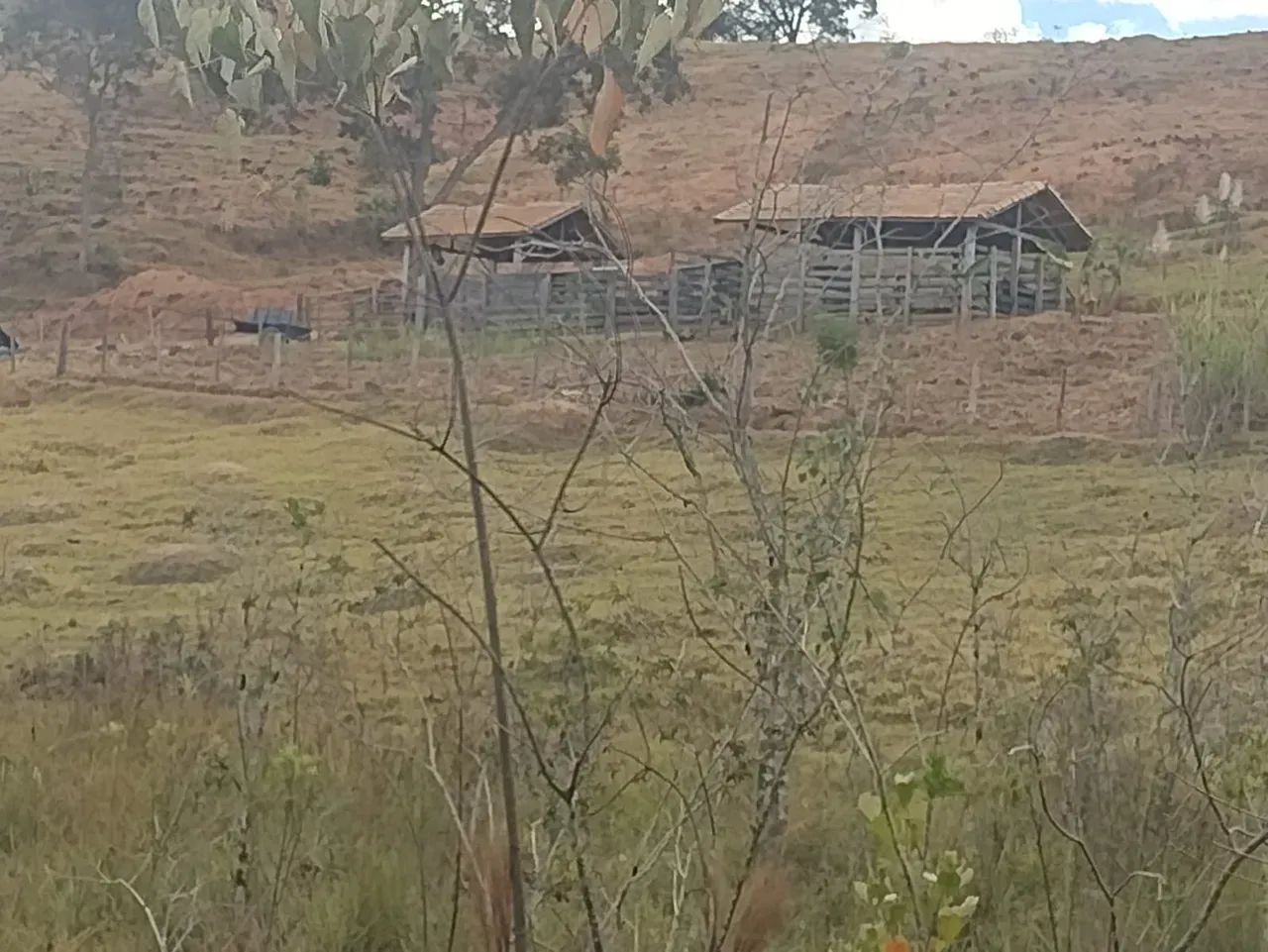 Terreno com boa topografia e água em Zona Rural - Carmópolis de Minas - MG - Foto 4