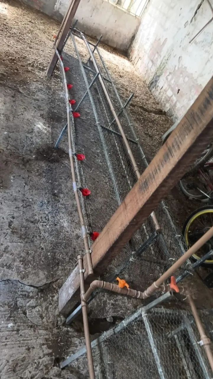 Gaiola para codornas  - Foto 4