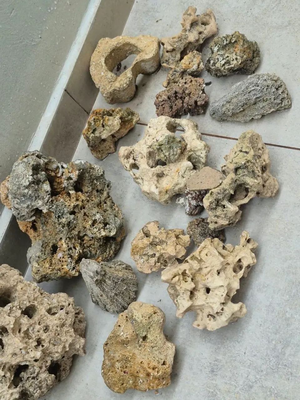 Sansibar aquario - Foto 3