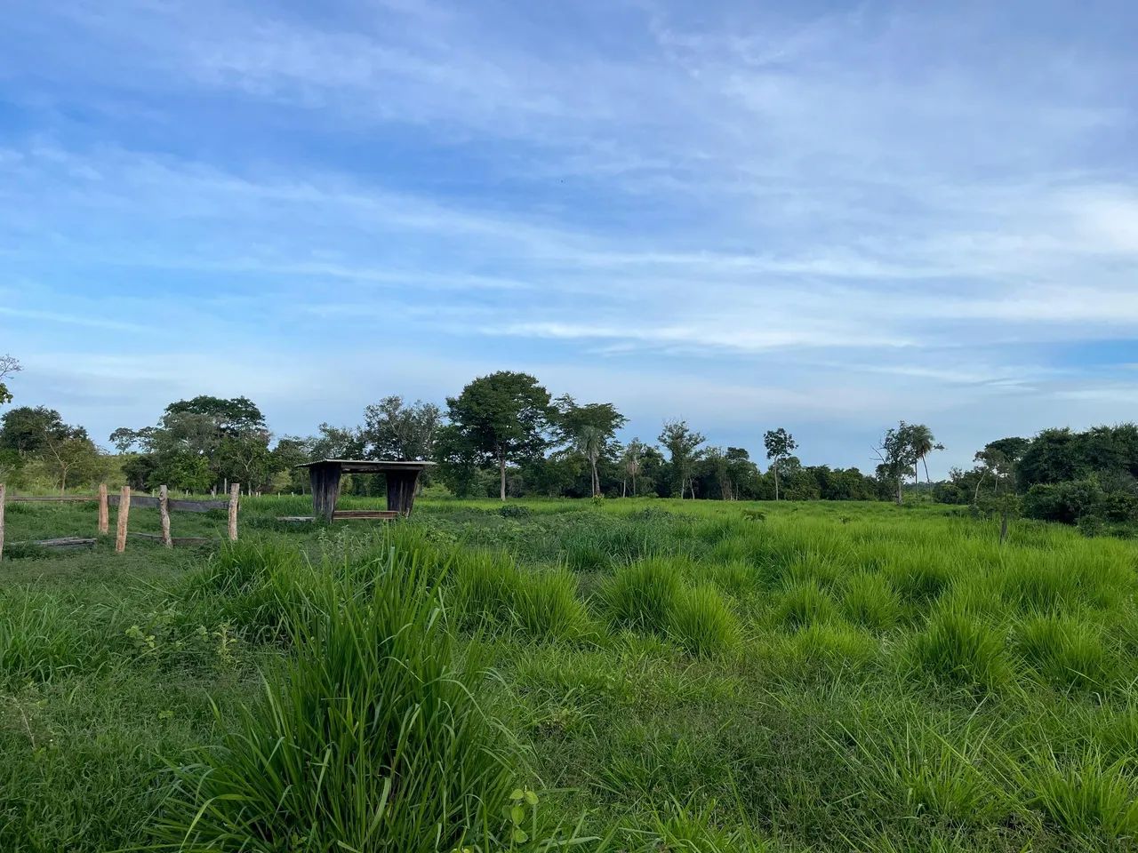 Fazenda a venda em Crixás  - Foto 5