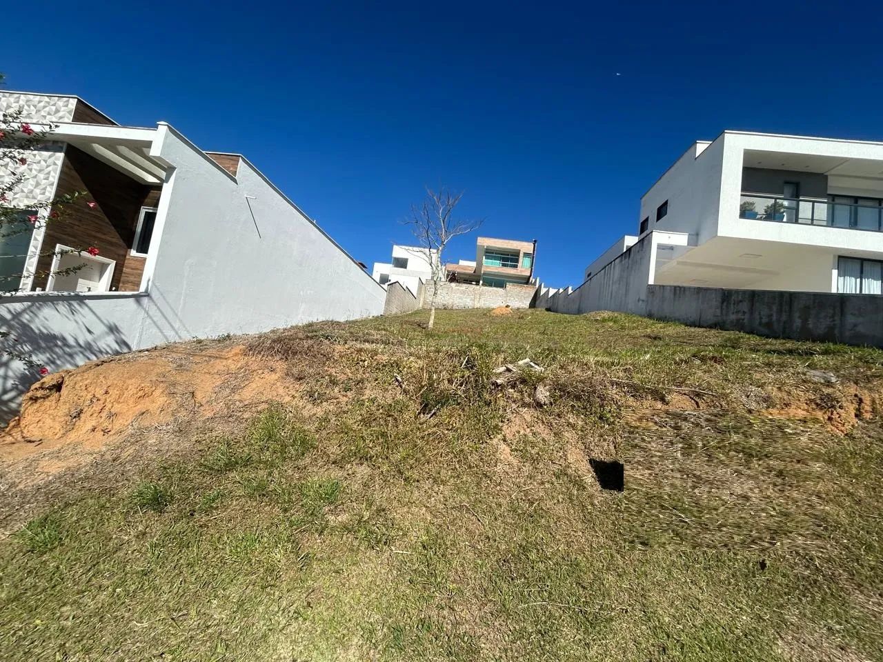 Lote / Terreno - Grama - Foto 4