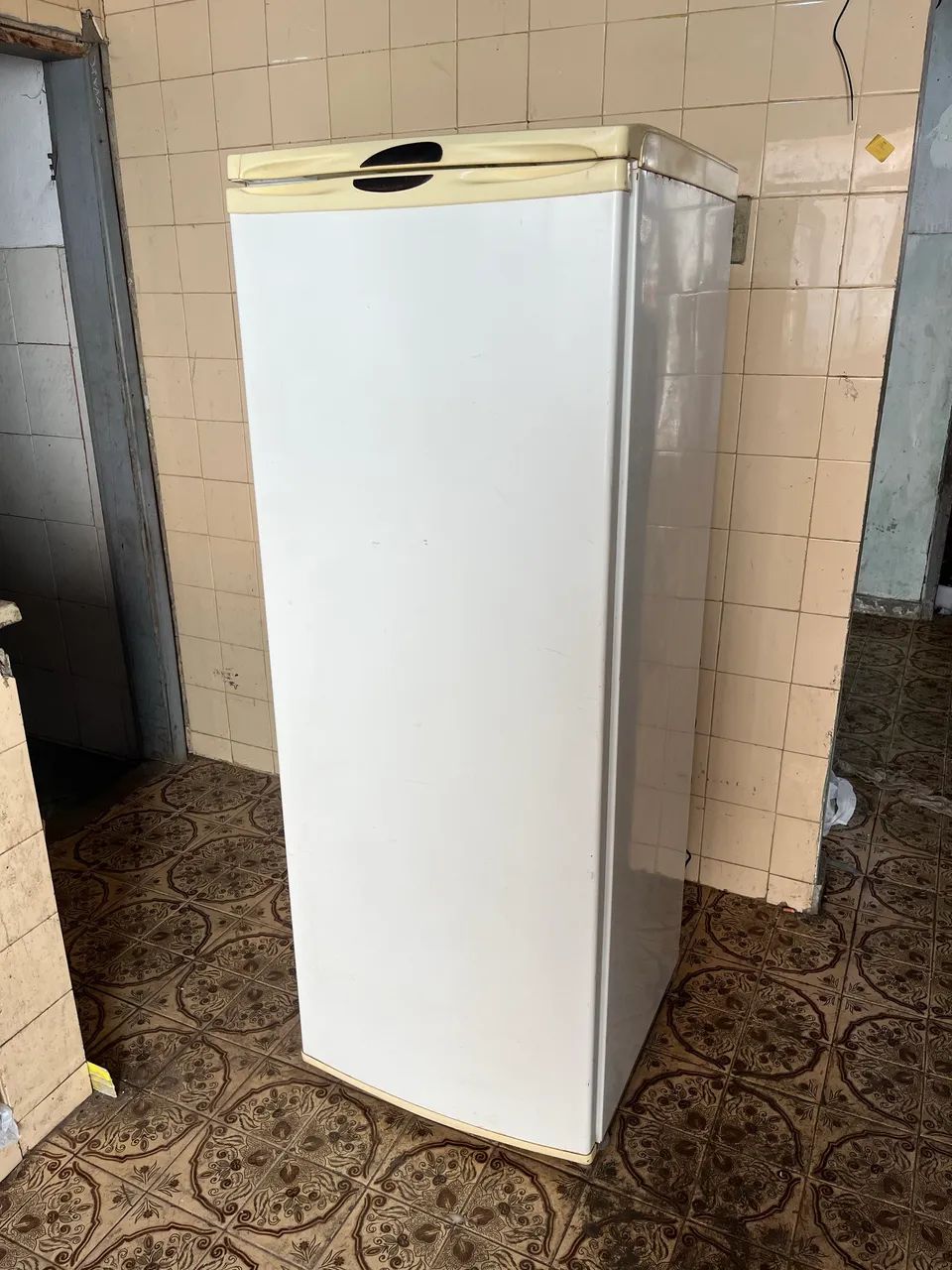 Geladeira Eletrolux com entrega 