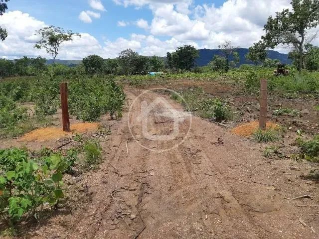 SÍTIO TERRA VERMELHA 14 HECTARES - Foto 4
