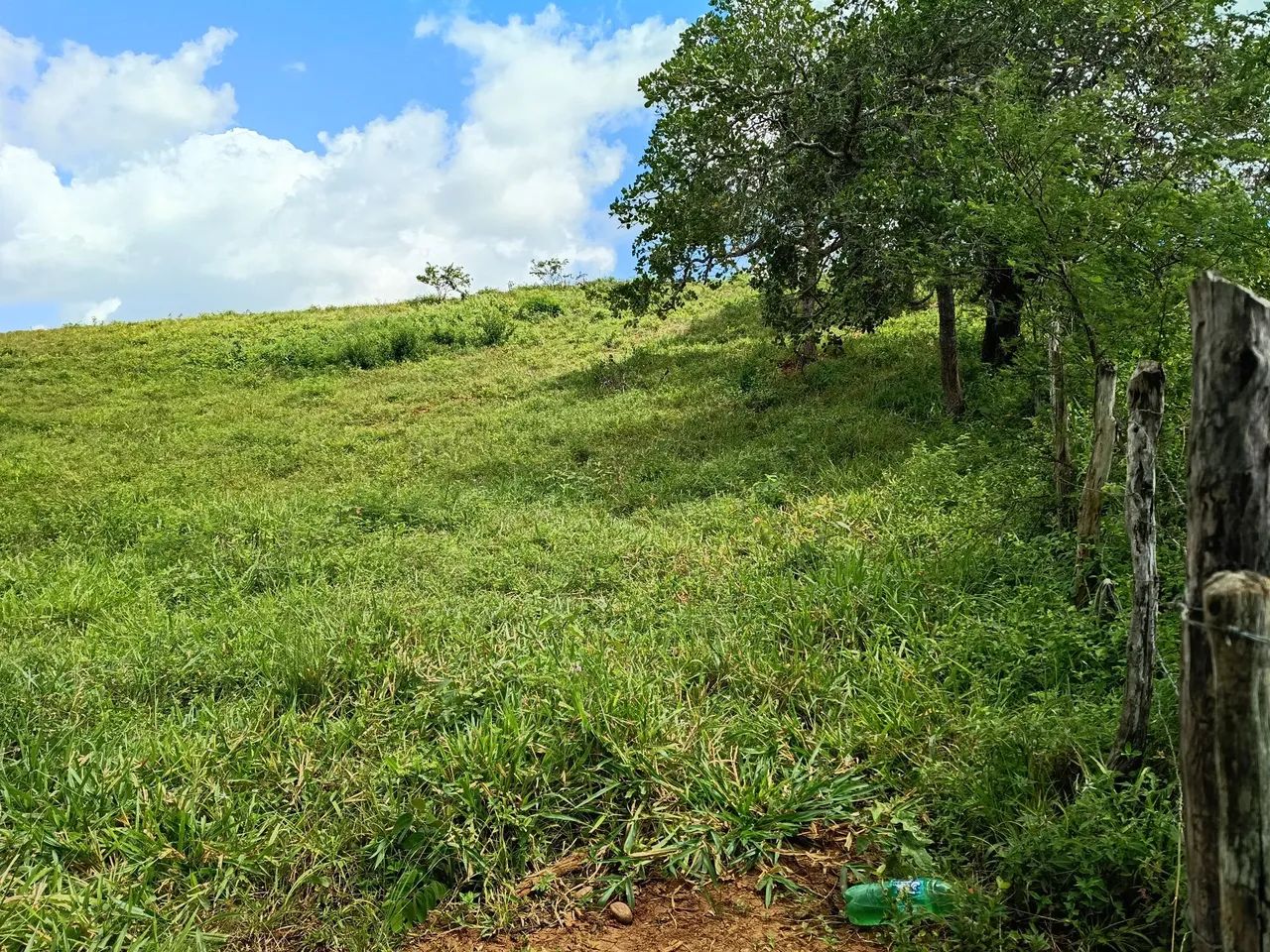 Terreno com 33 tarefas  - Foto 3