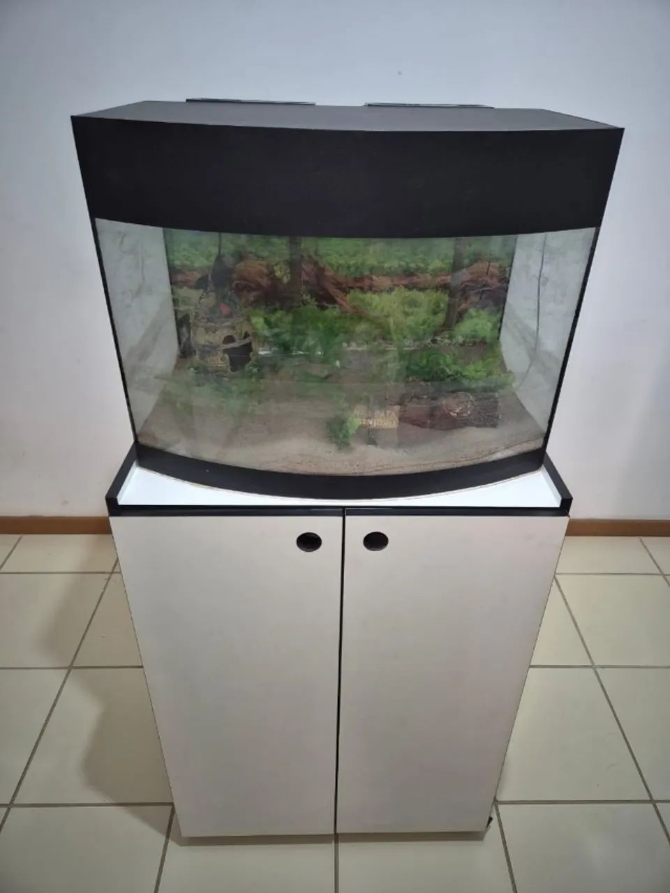 Aquário Curvo lindo 80 litros mais equipamentos, pronto para uso. - Foto 6