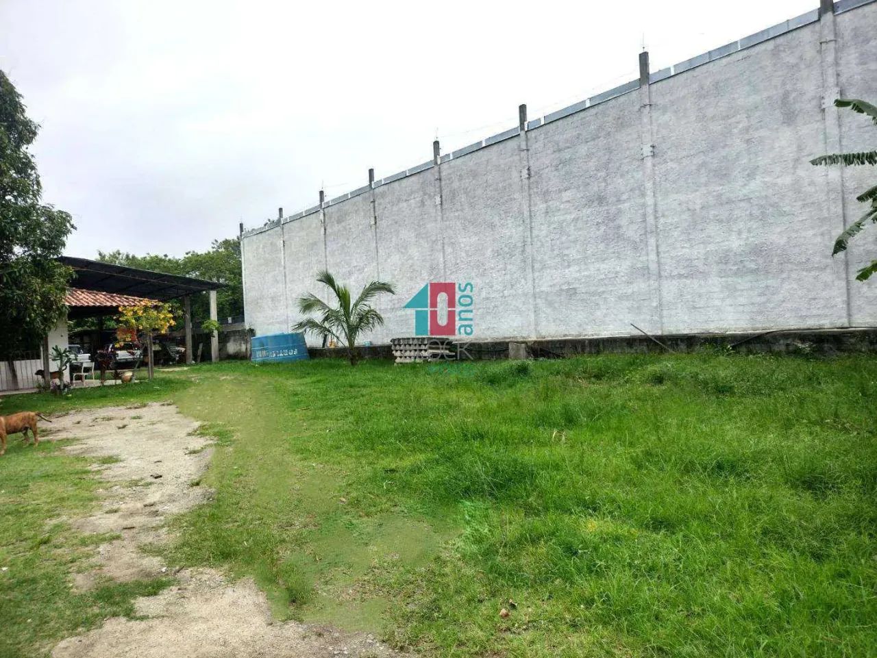 Guaratiba | Galpão - Foto 3